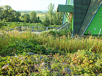 06.08.2012 17:56:45
Anreise
Rumänien 2012
Rumänien
Galerie