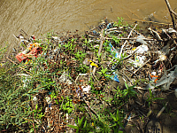 12.08.2012 14:27:39
12.08.2012
Rumänien 2012
Rumänien
Galerie