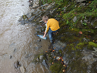 12.08.2012 14:58:29
12.08.2012
Rumänien 2012
Rumänien
Galerie