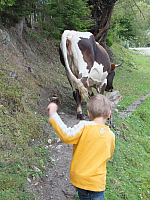 12.08.2012 15:05:25
12.08.2012
Rumänien 2012
Rumänien
Galerie