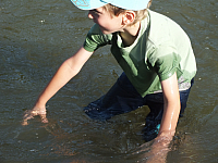 07.08.2012 17:26:37
07.08.2012
Rumänien 2012
Rumänien
Galerie