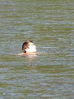 07.08.2012 17:32:33
07.08.2012
Rumänien 2012
Rumänien
Galerie