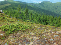 09.08.2012 12:28:18
09.08.2012
Munții Călimani
Rumänien 2012
Rumänien