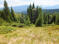 09.08.2012 12:38:57
09.08.2012
Munții Călimani
Rumänien 2012
Rumänien