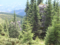 09.08.2012 12:39:04
09.08.2012
Munții Călimani
Rumänien 2012
Rumänien