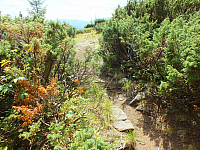 09.08.2012 12:45:38
09.08.2012
Munții Călimani
Rumänien 2012
Rumänien