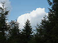 09.08.2012 12:47:42
09.08.2012
Munții Călimani
Rumänien 2012
Rumänien