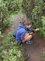 09.08.2012 12:53:13
09.08.2012
Munții Călimani
Rumänien 2012
Rumänien