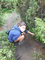 09.08.2012 12:53:21
09.08.2012
Munții Călimani
Rumänien 2012
Rumänien