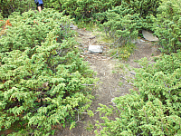 09.08.2012 12:53:46
09.08.2012
Munții Călimani
Rumänien 2012
Rumänien