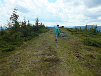 09.08.2012 13:06:18
09.08.2012
Munții Călimani
Rumänien 2012
Rumänien