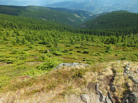 09.08.2012 13:20:22
09.08.2012
Munții Călimani
Rumänien 2012
Rumänien