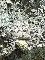 09.08.2012 13:33:05
09.08.2012
Munții Călimani
Rumänien 2012
Rumänien