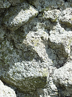 09.08.2012 13:33:16
09.08.2012
Munții Călimani
Rumänien 2012
Rumänien