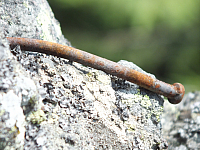 09.08.2012 13:36:50
09.08.2012
Munții Călimani
Rumänien 2012
Rumänien