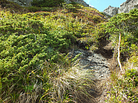 09.08.2012 13:38:27
09.08.2012
Munții Călimani
Rumänien 2012
Rumänien