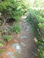 09.08.2012 13:57:24
09.08.2012
Munții Călimani
Rumänien 2012
Rumänien