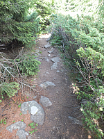 09.08.2012 13:57:31
09.08.2012
Munții Călimani
Rumänien 2012
Rumänien