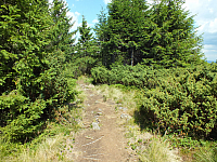 09.08.2012 13:58:10
09.08.2012
Munții Călimani
Rumänien 2012
Rumänien