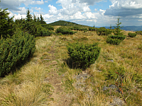 09.08.2012 13:58:44
09.08.2012
Munții Călimani
Rumänien 2012
Rumänien