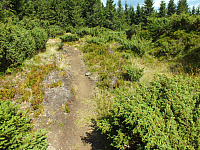 09.08.2012 14:01:58
09.08.2012
Munții Călimani
Rumänien 2012
Rumänien