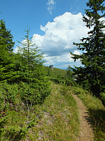 09.08.2012 14:09:43
09.08.2012
Munții Călimani
Rumänien 2012
Rumänien