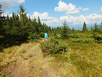 09.08.2012 14:26:05
09.08.2012
Munții Călimani
Rumänien 2012
Rumänien