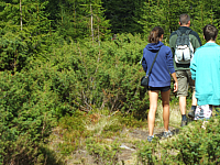 09.08.2012 14:26:17
09.08.2012
Munții Călimani
Rumänien 2012
Rumänien