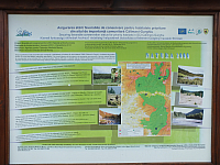 11.08.2012 14:15:12
11.08.2012 
Munții Călimani
Rumänien 2012
Rumänien