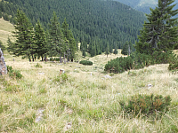 11.08.2012 14:25:57
11.08.2012 
Munții Călimani
Rumänien 2012
Rumänien