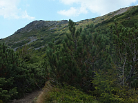 11.08.2012 14:55:23
11.08.2012 
Munții Călimani
Rumänien 2012
Rumänien