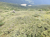 11.08.2012 15:03:15
11.08.2012 
Munții Călimani
Rumänien 2012
Rumänien