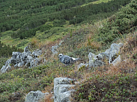 11.08.2012 15:40:08
11.08.2012 
Munții Călimani
Rumänien 2012
Rumänien