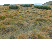 11.08.2012 15:45:21
11.08.2012 
Munții Călimani
Rumänien 2012
Rumänien