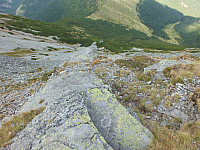 11.08.2012 16:21:20
11.08.2012 
Munții Călimani
Rumänien 2012
Rumänien