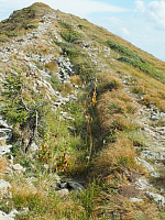 11.08.2012 16:55:23
11.08.2012 
Munții Călimani
Rumänien 2012
Rumänien