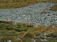 11.08.2012 16:57:55
11.08.2012 
Munții Călimani
Rumänien 2012
Rumänien