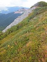 11.08.2012 17:22:25
11.08.2012 
Munții Călimani
Rumänien 2012
Rumänien