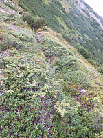 11.08.2012 17:23:04
11.08.2012 
Munții Călimani
Rumänien 2012
Rumänien