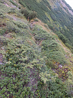 11.08.2012 17:23:12
11.08.2012 
Munții Călimani
Rumänien 2012
Rumänien