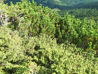 11.08.2012 17:25:57
11.08.2012 
Munții Călimani
Rumänien 2012
Rumänien