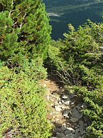 11.08.2012 17:26:03
11.08.2012 
Munții Călimani
Rumänien 2012
Rumänien