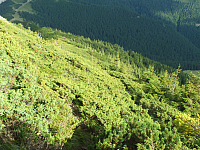 11.08.2012 17:26:23
11.08.2012 
Munții Călimani
Rumänien 2012
Rumänien