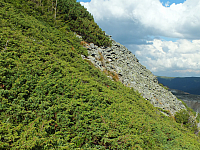 11.08.2012 17:27:07
11.08.2012 
Munții Călimani
Rumänien 2012
Rumänien