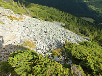 11.08.2012 17:27:59
11.08.2012 
Munții Călimani
Rumänien 2012
Rumänien