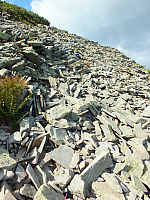 11.08.2012 17:28:26
11.08.2012 
Munții Călimani
Rumänien 2012
Rumänien