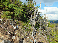 11.08.2012 17:29:13
11.08.2012 
Munții Călimani
Rumänien 2012
Rumänien