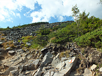 11.08.2012 17:29:19
11.08.2012 
Munții Călimani
Rumänien 2012
Rumänien