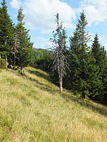 11.08.2012 17:57:49
11.08.2012 
Munții Călimani
Rumänien 2012
Rumänien