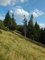 11.08.2012 17:58:04
11.08.2012 
Munții Călimani
Rumänien 2012
Rumänien